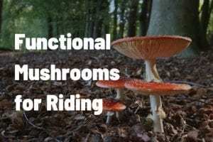 Functional Mushrooms for Riding