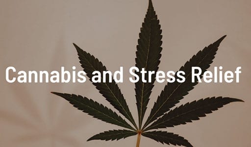 Whistler Cannabis and Stress Relief Tips