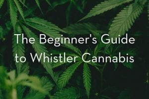 Beginner's-Guide-to-Whistler-Cannabis