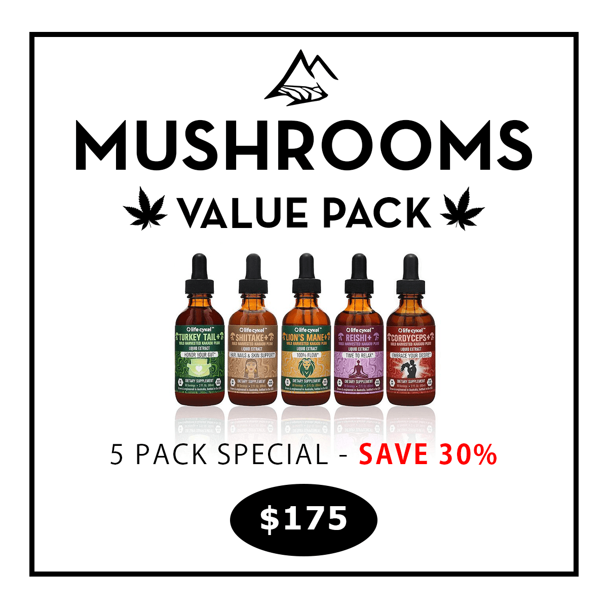 Lifecykel Mushroom Tinctures 5 Pack Set Save 30 Mount Herbal
