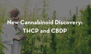 New-Cannabinoid-Discovery-THCP-and-CBDP