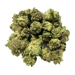 Specials - Flower