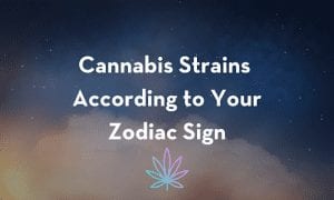 Cannabis-Strains-According-to-Your-Zodiac-Sign