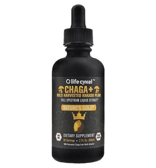 chaga-lifecykle-natures-gold