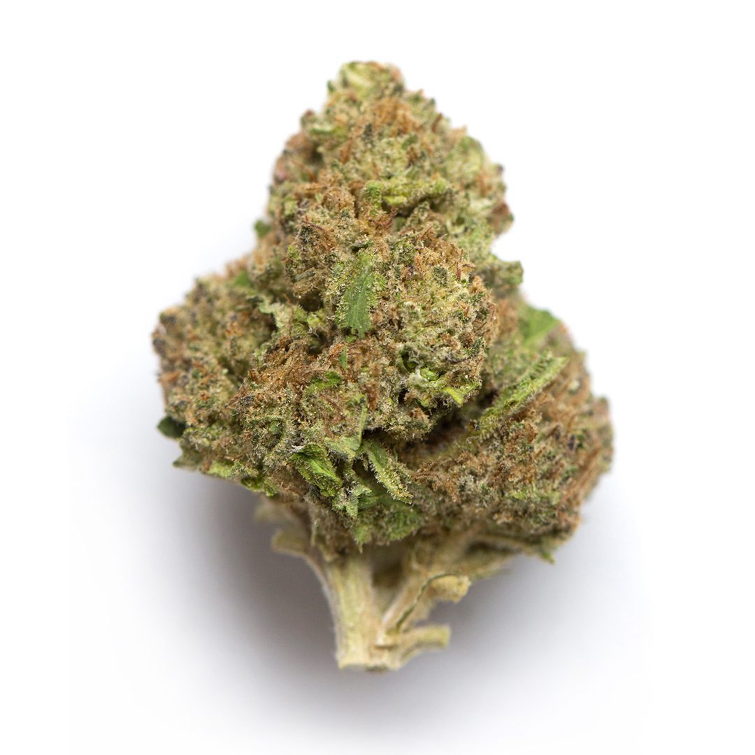 Blueberry Diesel Indica Dominate Hybrid Bio Fuel at its best