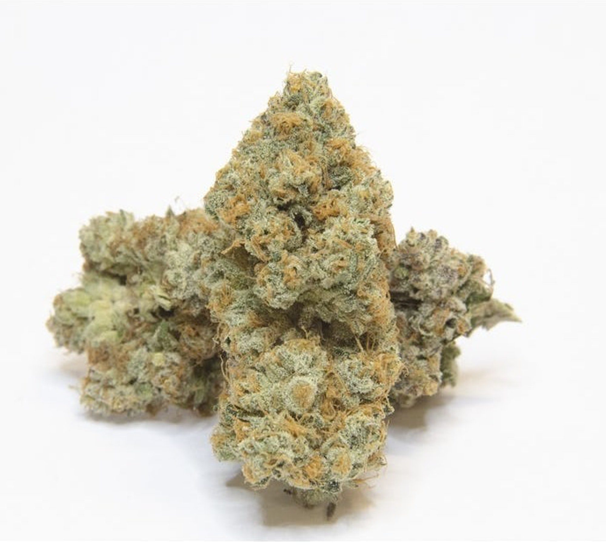 Caramel Cake Hybrid Take a slice.... Take 2 if you want Mount