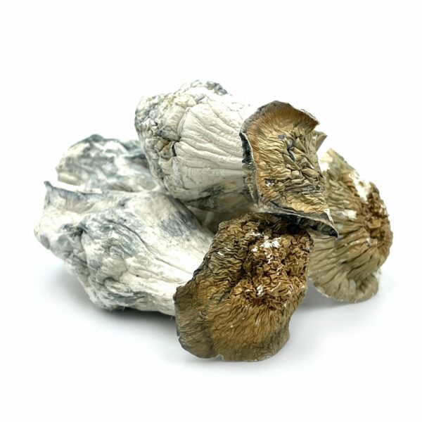 MaKilla Gorilla Mount Herbal Cannabis Delivery